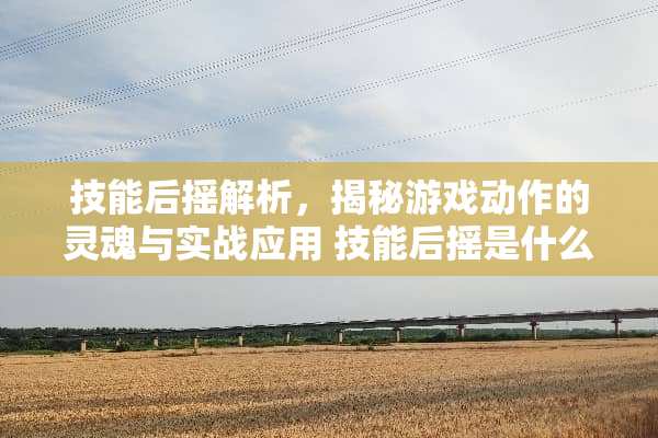 技能后摇解析，揭秘游戏动作的灵魂与实战应用 技能后摇是什么意思