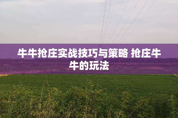 **抢庄实战技巧与策略 抢庄**的玩法