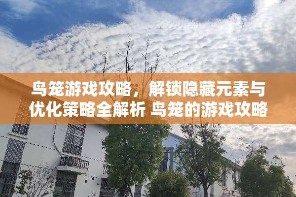 鸟笼游戏攻略，解锁隐藏元素与优化策略全解析 鸟笼的游戏攻略