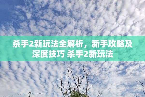 **2新玩法全解析，新手攻略及深度技巧 **2新玩法