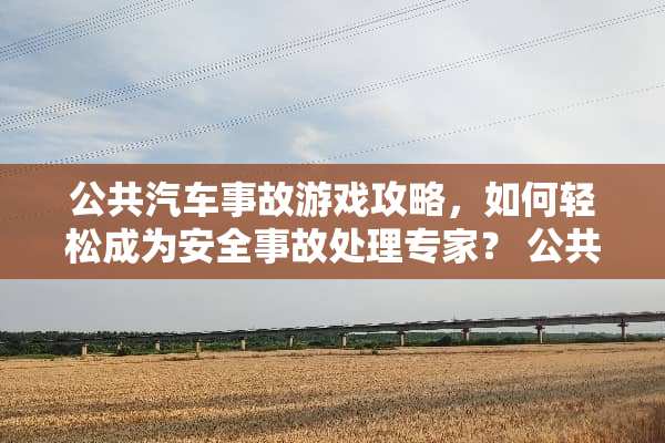 公共汽车事故游戏攻略，如何轻松成为安全事故处理专家？ 公共汽车事故游戏攻略