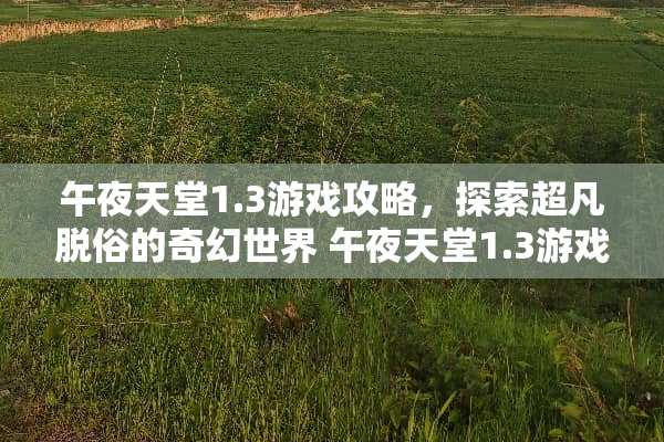 午夜天堂1.3游戏攻略，探索超凡脱俗的奇幻世界 午夜天堂1.3游戏攻略