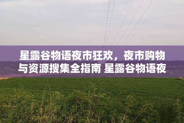 星露谷物语夜市狂欢，夜市购物与资源搜集全指南 星露谷物语夜市攻略