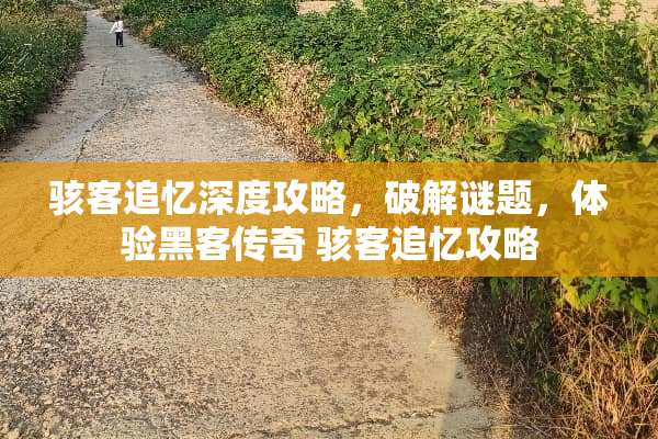 骇客追忆深度攻略，**谜题，体验黑客传奇 骇客追忆攻略
