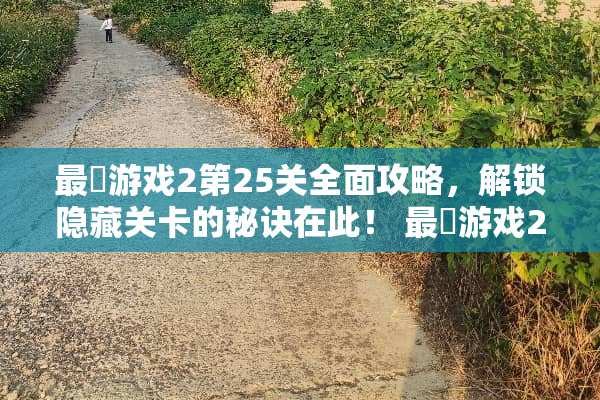 最囧游戏2第25关全面攻略，解锁隐藏关卡的秘诀在此！ 最囧游戏2第25攻略