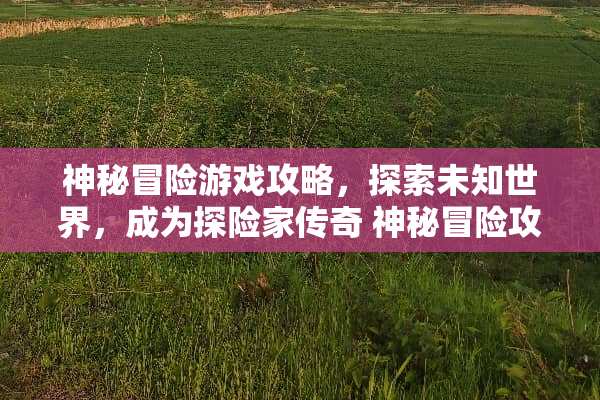 神秘冒险游戏攻略，探索未知世界，成为探险家传奇 神秘冒险攻略游戏推荐