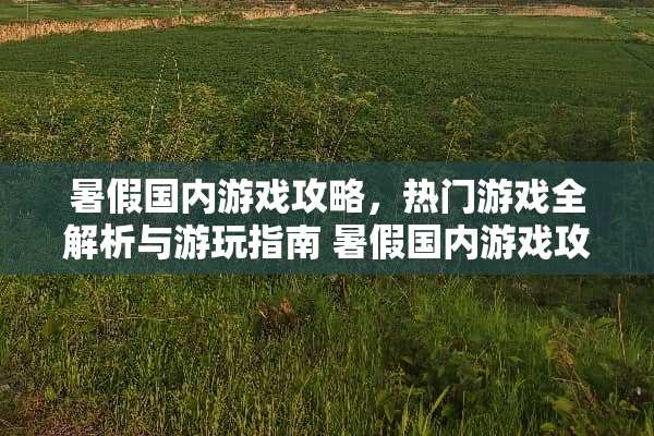 暑假国内游戏攻略，热门游戏全解析与游玩指南 暑假国内游戏攻略