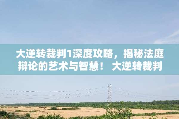 大逆转裁判1深度攻略，揭秘法庭辩论的艺术与智慧！ 大逆转裁判1攻略