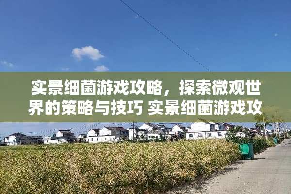 实景细菌游戏攻略，探索微观世界的策略与技巧 实景细菌游戏攻略