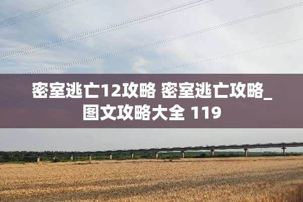 密室逃亡12攻略 密室逃亡攻略_图文攻略大全 119