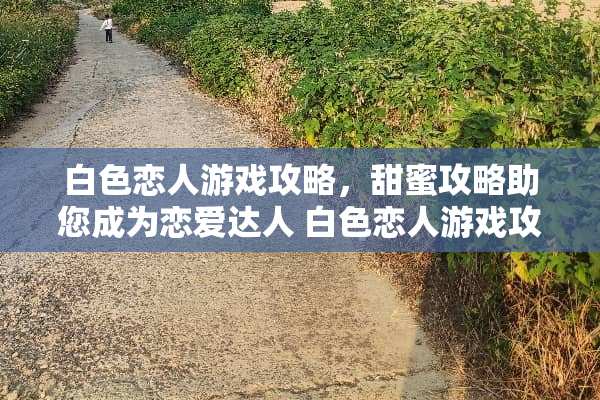 白色恋人游戏攻略，甜蜜攻略助您成为恋爱达人 白色恋人游戏攻略