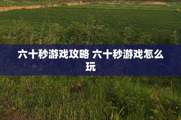 六十秒游戏攻略 六十秒游戏怎么玩