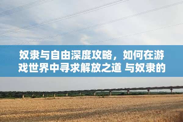 *隶与自由深度攻略，如何在游戏世界中寻求解放之道 与*隶的生活攻略
