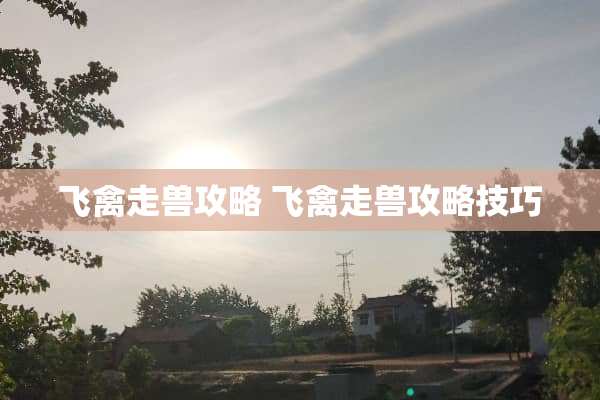 飞禽走兽攻略 飞禽走兽攻略技巧