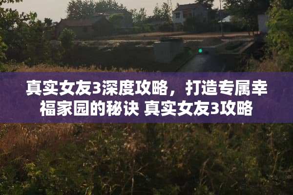 真实女友3深度攻略，打造专属幸福家园的秘诀 真实女友3攻略