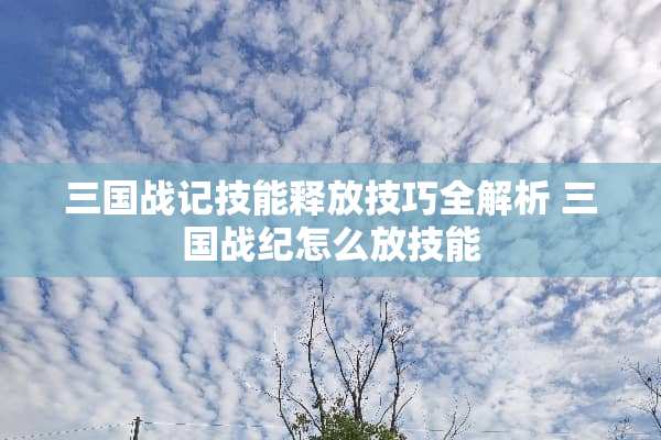 三国战记技能释放技巧全解析 三国战纪怎么放技能