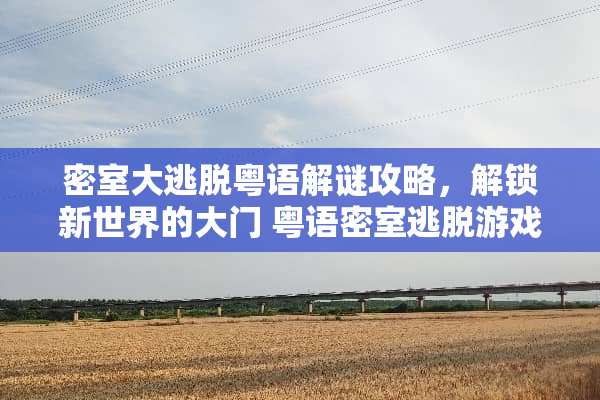 密室大逃脱粤语解谜攻略，解锁新世界的大门 粤语密室逃脱游戏攻略