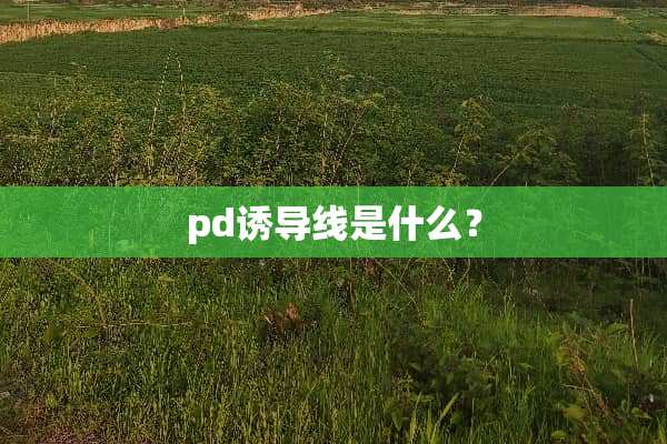 pd诱导线是什么？