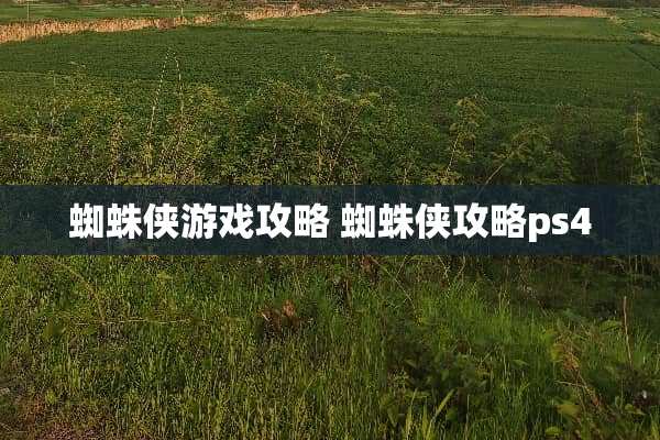 蜘蛛侠游戏攻略 蜘蛛侠攻略ps4