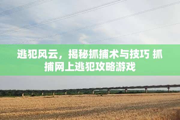 逃犯风云，揭秘抓捕术与技巧 抓捕网上逃犯攻略游戏