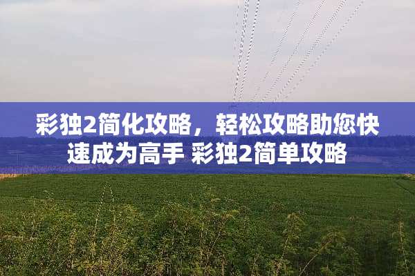 彩独2简化攻略，轻松攻略助您快速成为高手 彩独2简单攻略