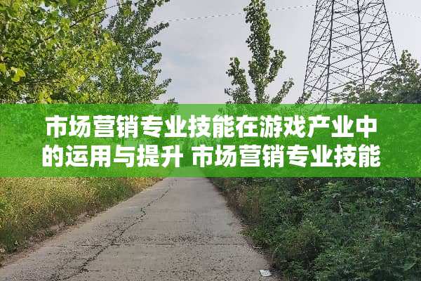 市场营销专业技能在游戏产业中的运用与提升 市场营销专业技能