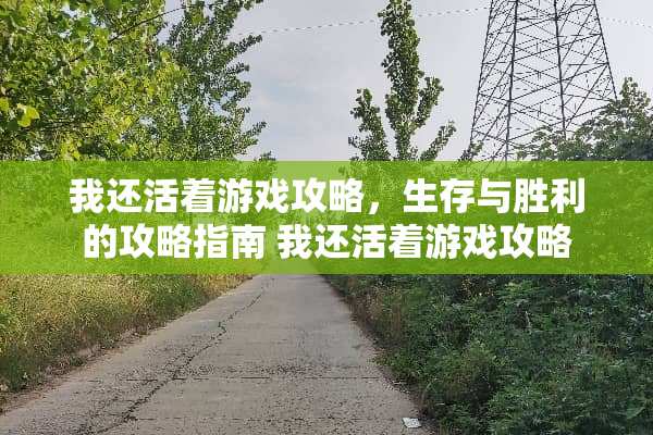 我还活着游戏攻略，生存与胜利的攻略指南 我还活着游戏攻略