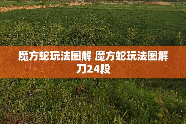魔方蛇玩法图解 魔方蛇玩法图解刀24段