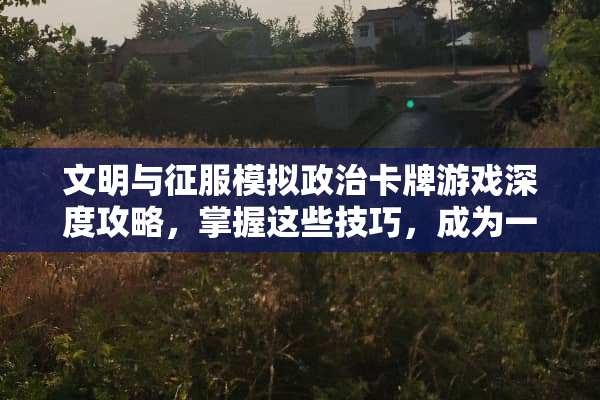 文明与征服模拟**卡牌游戏深度攻略，掌握这些技巧，成为一代风范领袖 模拟**卡牌游戏攻略