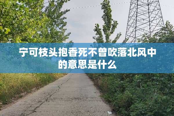 宁可枝头抱香死不曾吹落北风中的意思是什么