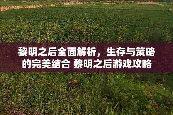 黎明之后全面解析，生存与策略的完美结合 黎明之后游戏攻略