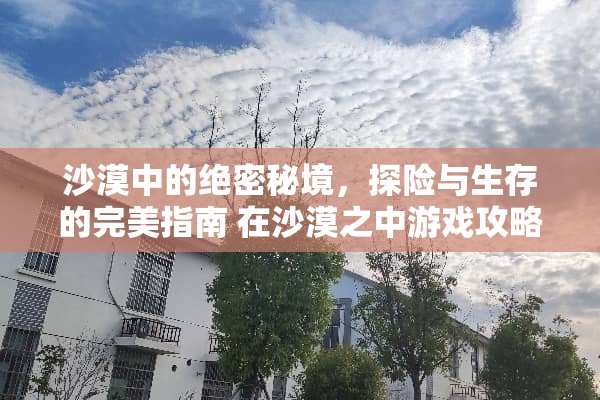 沙漠中的绝密秘境，探险与生存的完美指南 在沙漠之中游戏攻略