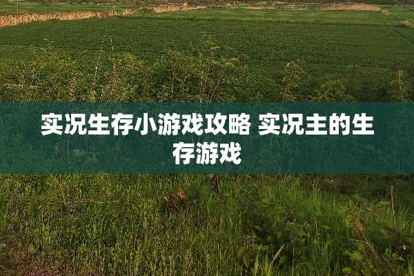 实况生存小游戏攻略 实况主的生存游戏