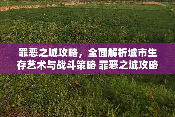 罪恶之城攻略，全面解析城市生存艺术与战斗策略 罪恶之城攻略