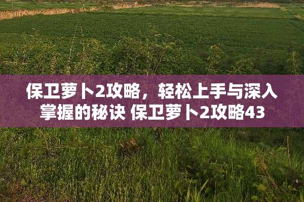 保卫萝卜2攻略，轻松上手与深入掌握的秘诀 保卫萝卜2攻略43