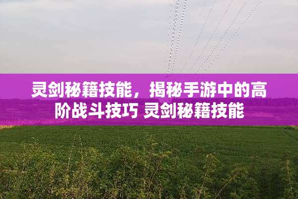 灵剑秘籍技能，揭秘手游中的高阶战斗技巧 灵剑秘籍技能