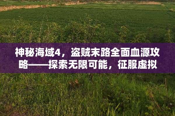 神秘海域4，盗贼末路全面血源攻略——探索无限可能，征服虚拟海洋！ 游戏血源攻略