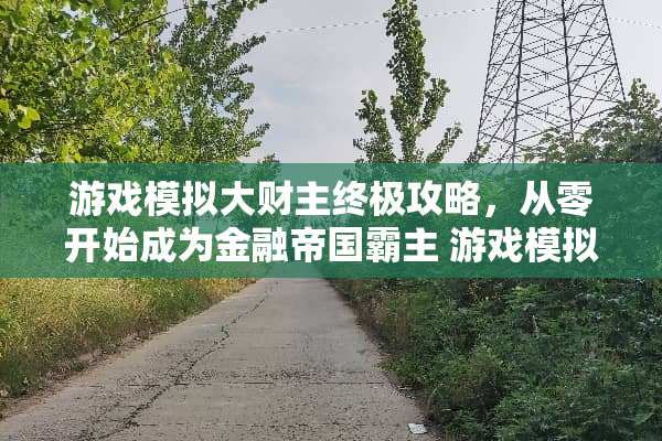 游戏模拟大财主终极攻略，从零开始成为金融帝国霸主 游戏模拟大财主攻略