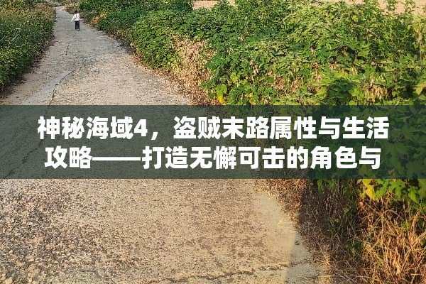 神秘海域4，盗贼末路属性与生活攻略——打造无懈可击的角色与生存之道 属性与生活攻略