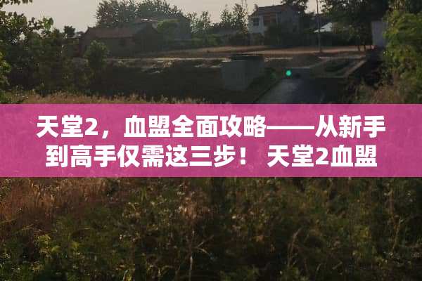 天堂2，血盟全面攻略——从新手到高手仅需这三步！ 天堂2血盟攻略