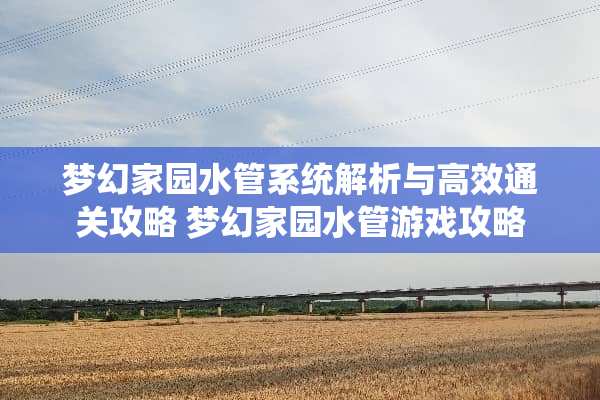 梦幻家园水管系统解析与高效通关攻略 梦幻家园水管游戏攻略