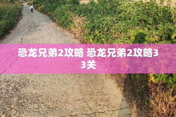 恐龙兄弟2攻略 恐龙兄弟2攻略33关