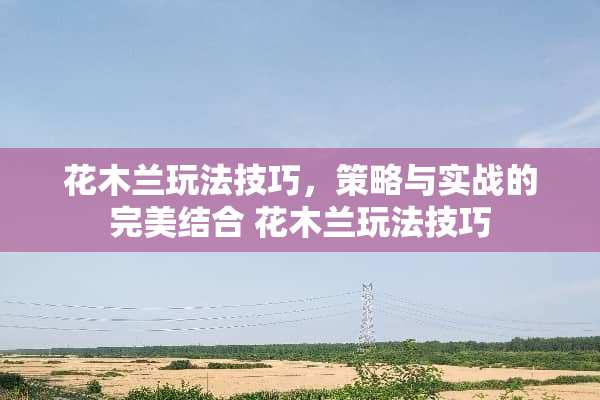 花木兰玩法技巧，策略与实战的完美结合 花木兰玩法技巧