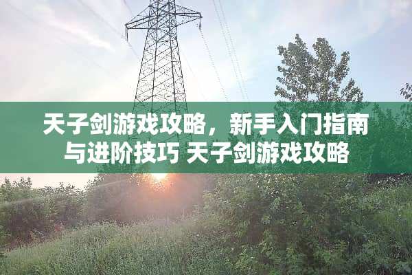 天子剑游戏攻略，新手入门指南与进阶技巧 天子剑游戏攻略