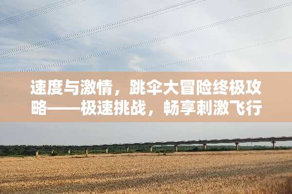 速度与**，跳伞大冒险终极攻略——极速挑战，畅享**飞行 速度与**跳伞游戏攻略