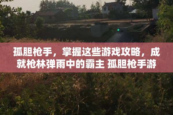 孤胆枪手，掌握这些游戏攻略，成就枪林弹雨中的霸主 孤胆枪手游戏攻略
