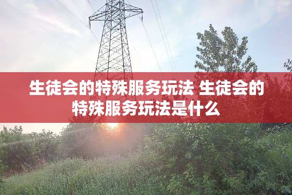生徒会的特殊服务玩法 生徒会的特殊服务玩法是什么