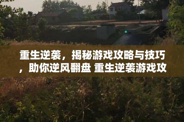 重生逆袭，揭秘游戏攻略与技巧，助你逆风翻盘 重生逆袭游戏攻略