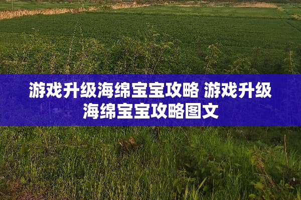 游戏升级海绵宝宝攻略 游戏升级海绵宝宝攻略图文