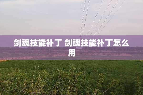 剑魂技能补丁 剑魂技能补丁怎么用